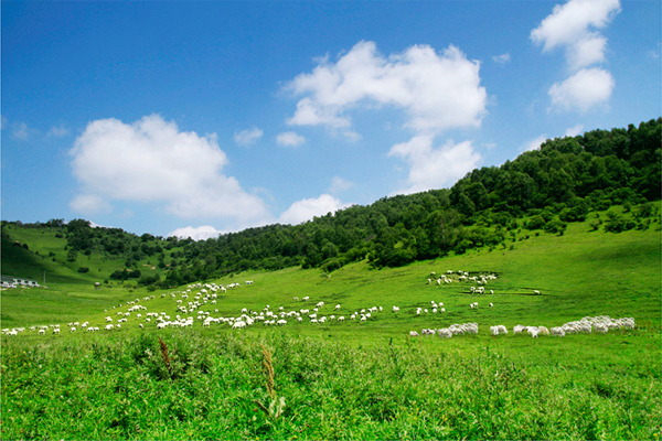 UG����(�й���)�ٷ���վ