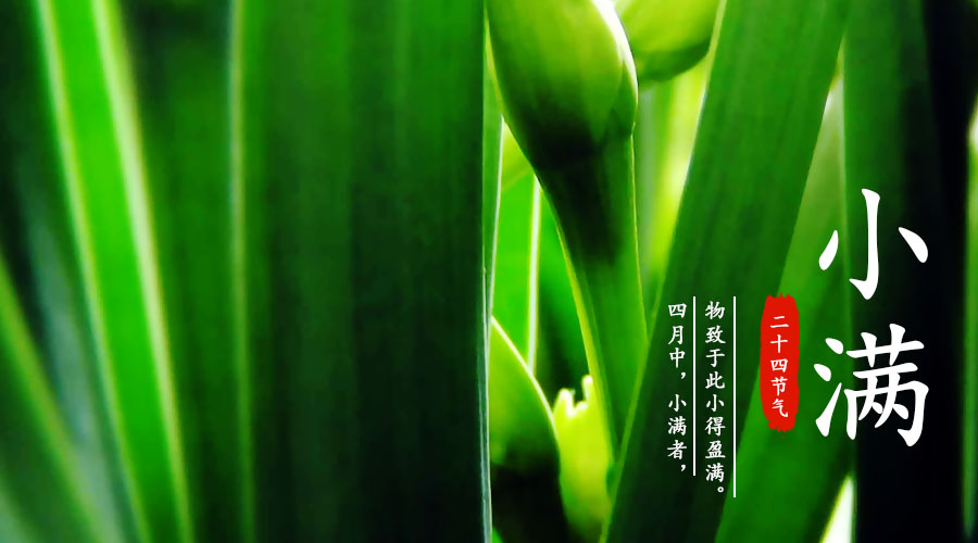 UG����(�й���)�ٷ���վ