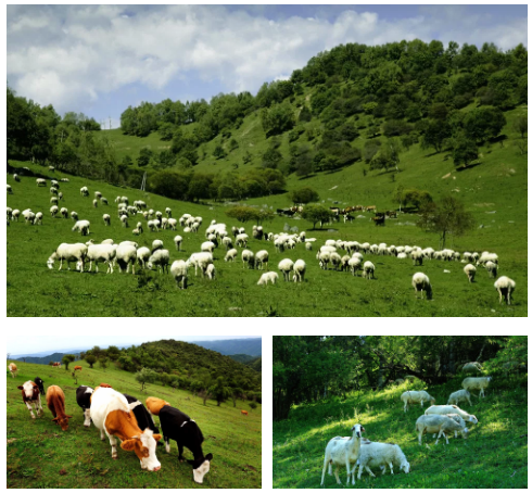 UG����(�й���)�ٷ���վ