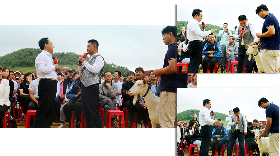 UG����(�й���)�ٷ���վ