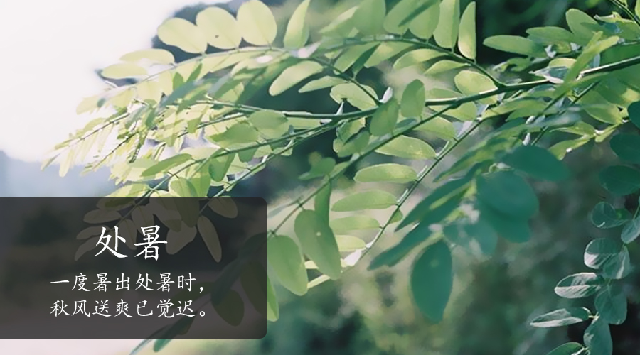 UG����(�й���)�ٷ���վ