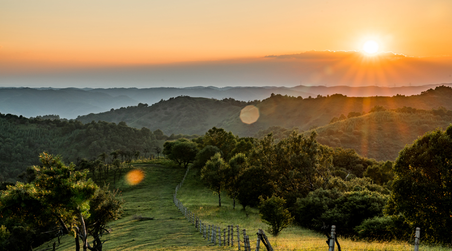 UG����(�й���)�ٷ���վ