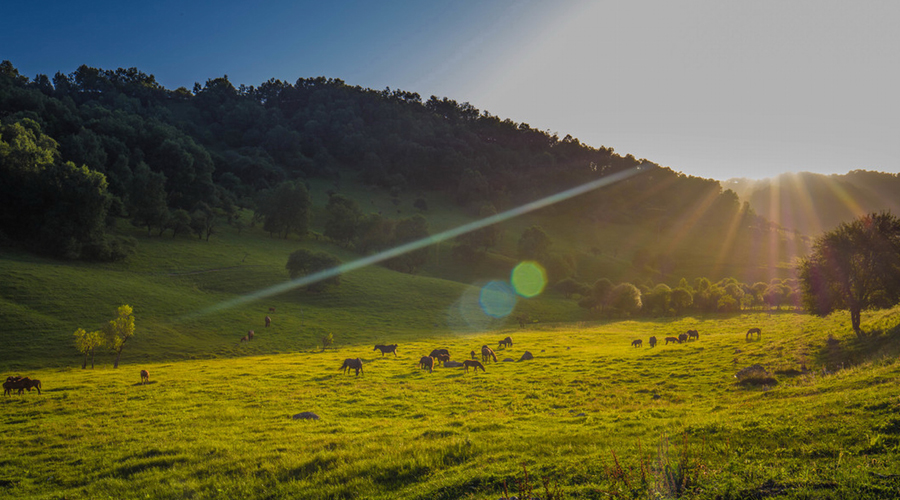 UG����(�й���)�ٷ���վ