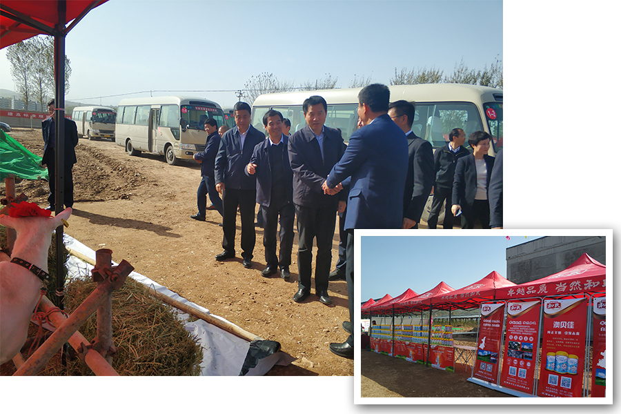 UG����(�й���)�ٷ���վ