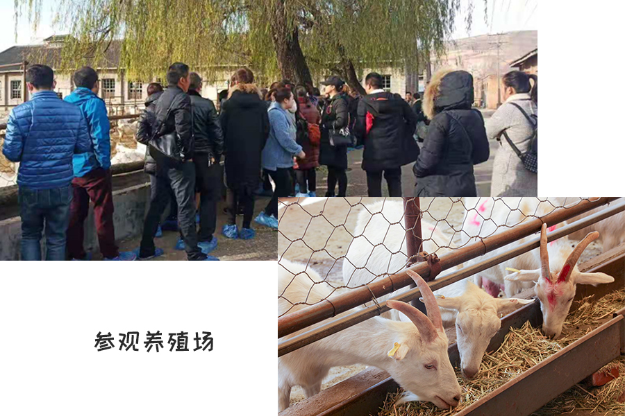 UG����(�й���)�ٷ���վ