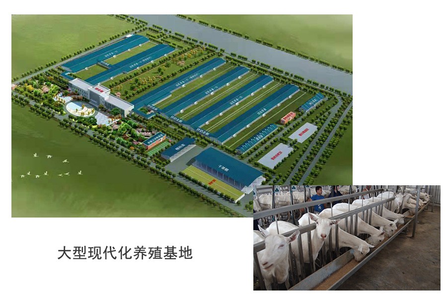 UG����(�й���)�ٷ���վ