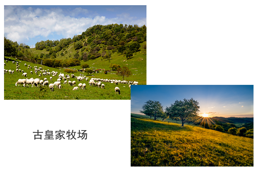 UG����(�й���)�ٷ���վ