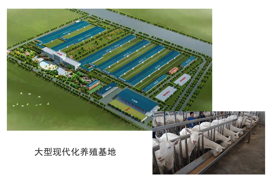 UG����(�й���)�ٷ���վ