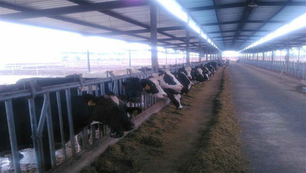 UG����(�й���)�ٷ���վ