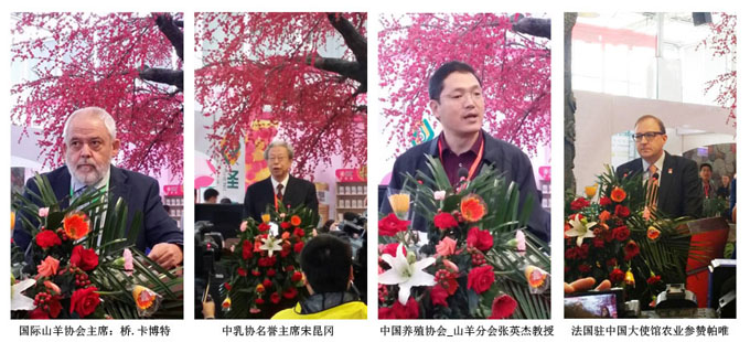 UG����(�й���)�ٷ���վ