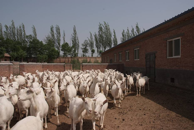 UG����(�й���)�ٷ���վ