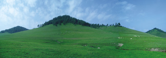 UG����(�й���)�ٷ���վ