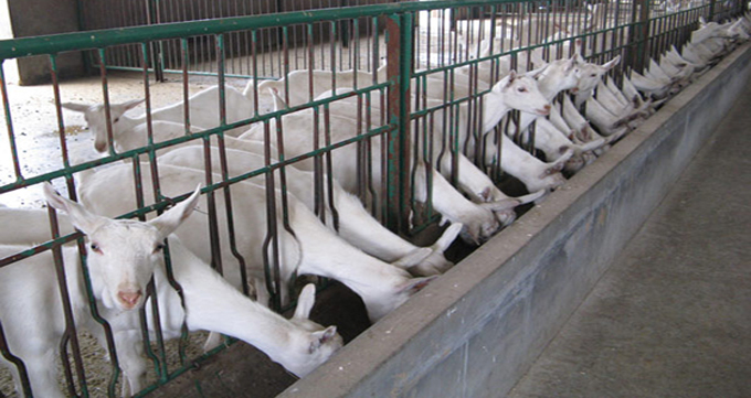 UG����(�й���)�ٷ���վ