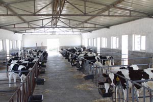 UG����(�й���)�ٷ���վ