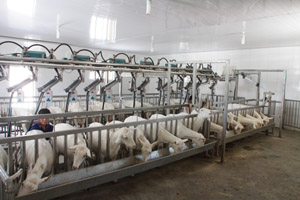 UG����(�й���)�ٷ���վ