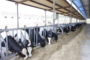 UG����(�й���)�ٷ���վ