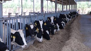 UG����(�й���)�ٷ���վ