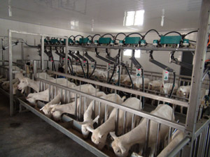 UG����(�й���)�ٷ���վ