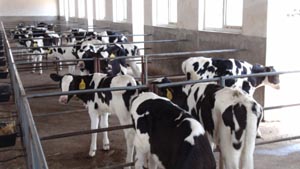 UG����(�й���)�ٷ���վ